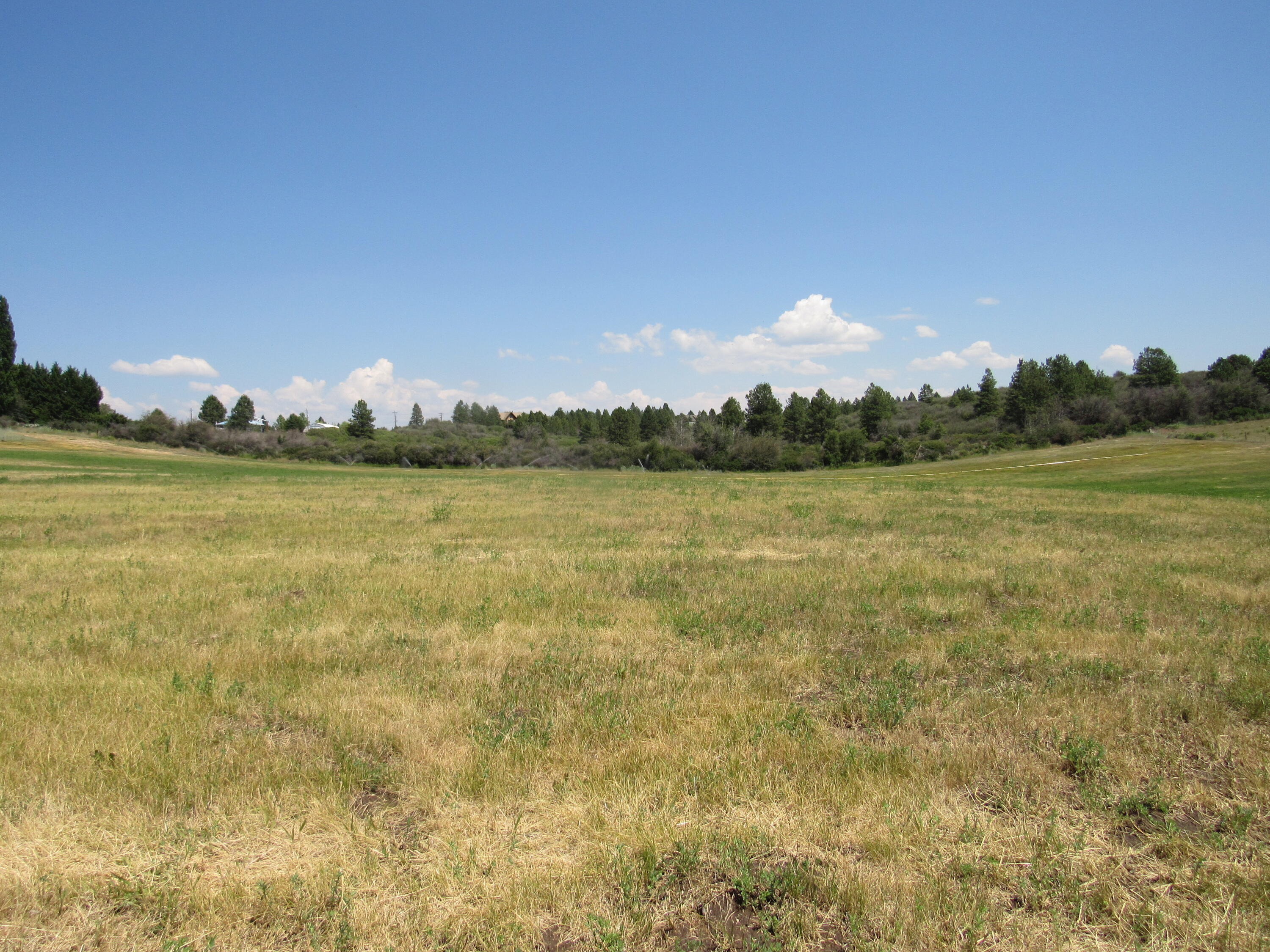 37291 Agency Lake Loop Road Chiloquin, OR 97624 - Photo 11 of 38 IMG_2073