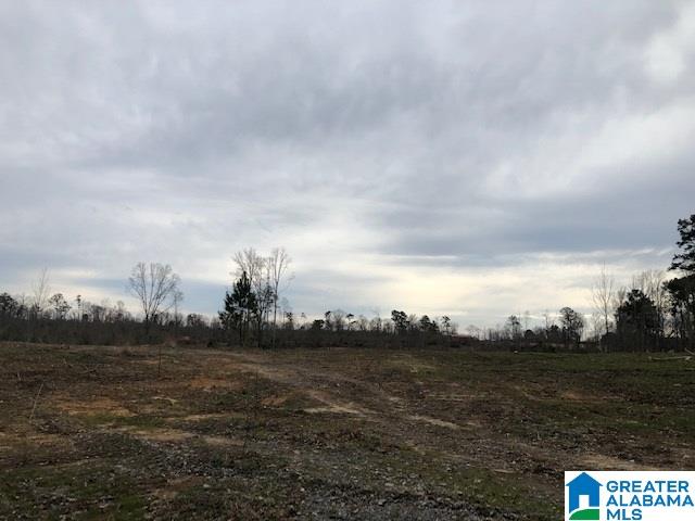 Pine Mountain Road, Unit 2 Springville, AL 35146 - Photo 15 of 16