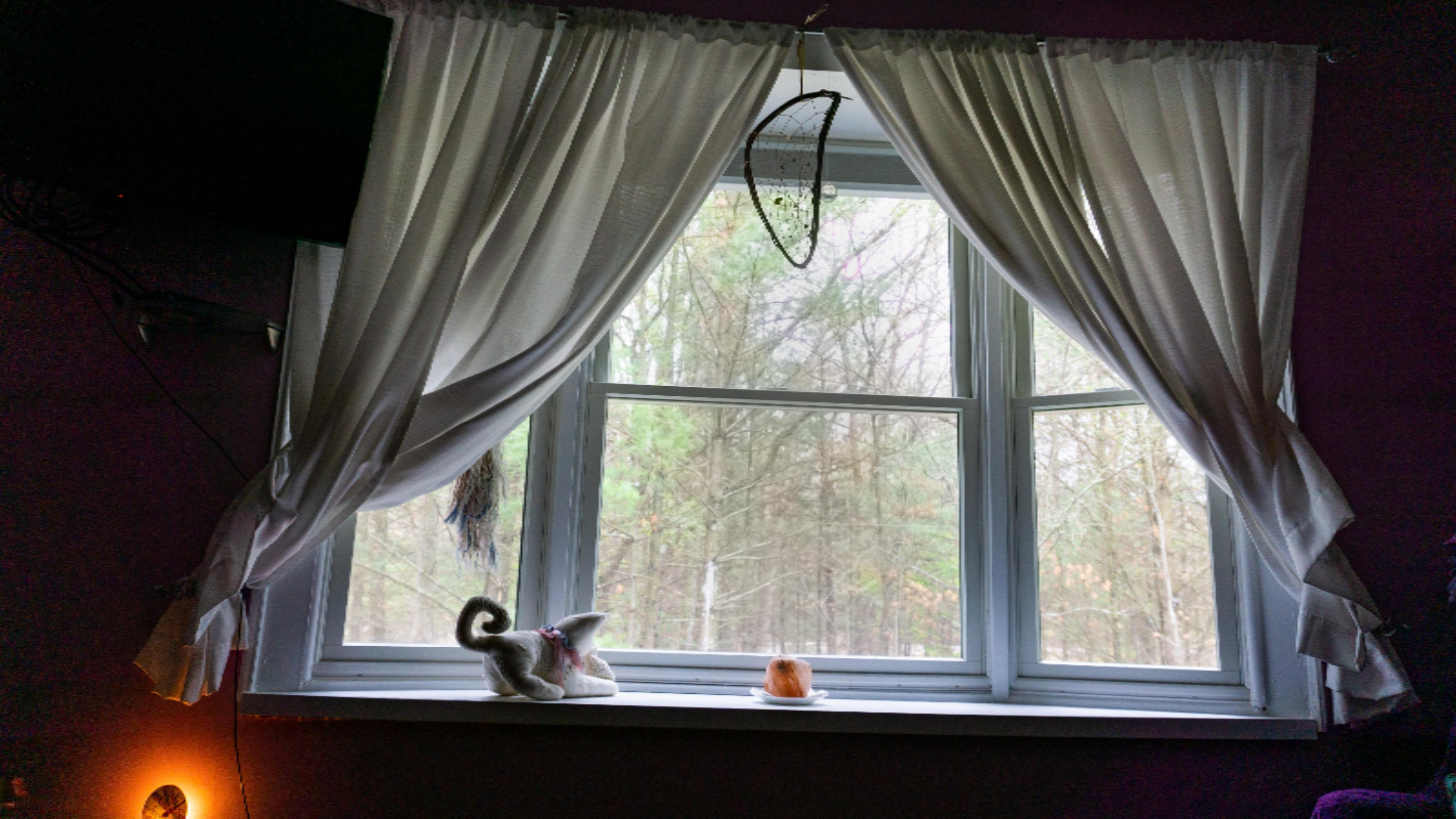 2947 Russell Road Muskegon, MI 49445 - Photo 25 of 74 Bedroom Window