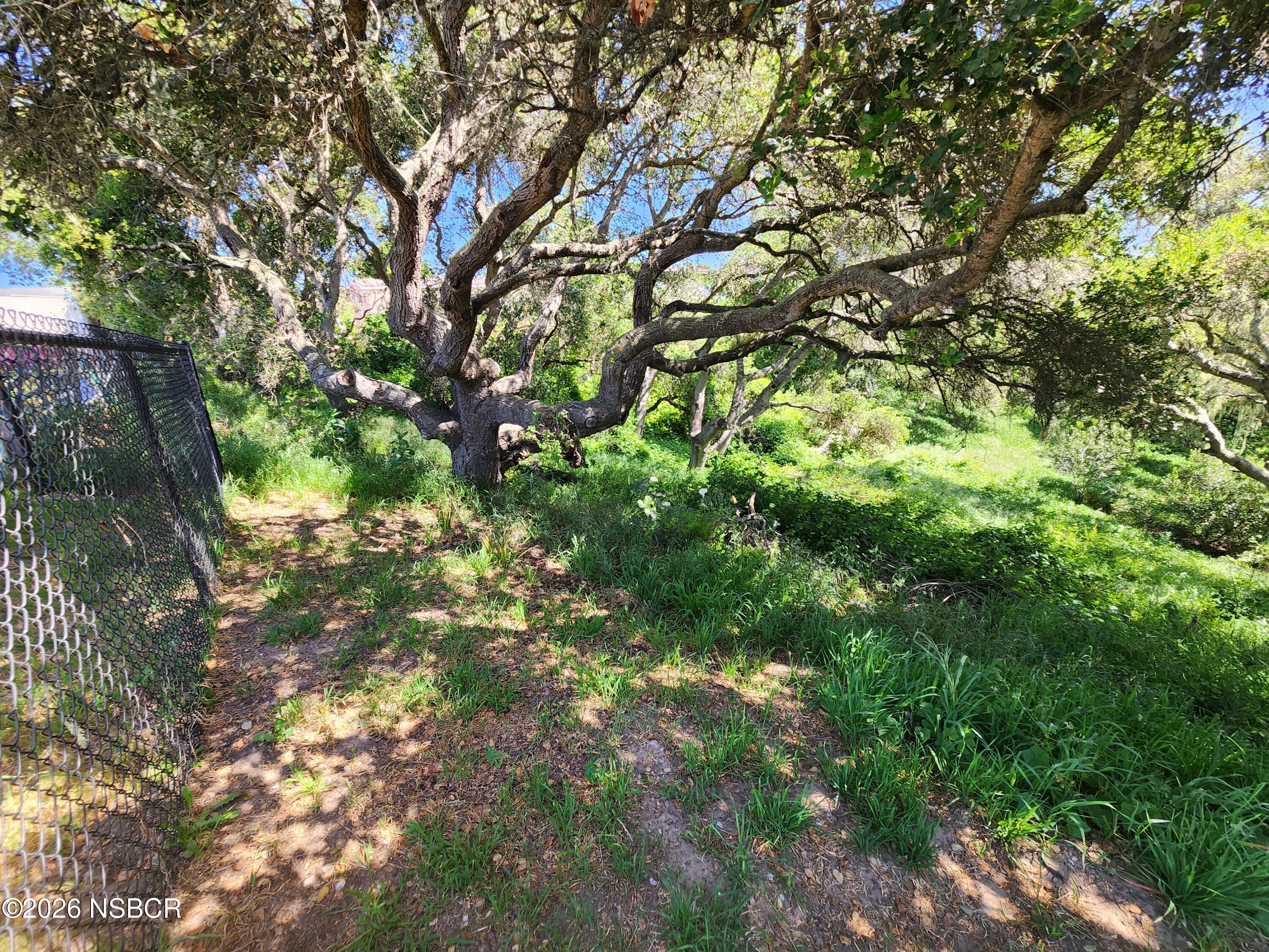 3770 Rucker Road Lompoc, CA 93436 - Photo 32 of 36 a backyard of a house with lots of green space