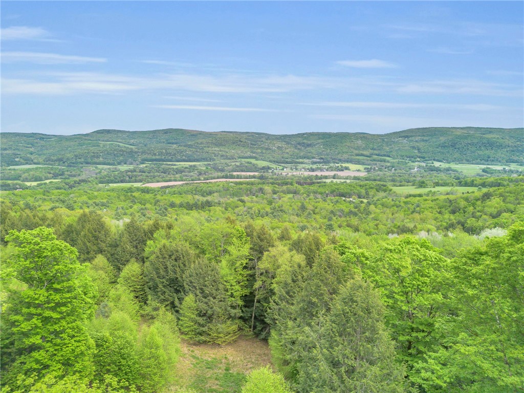 180 Campbell Hill Road Middlefield, NY 13326 - Photo 42 of 47