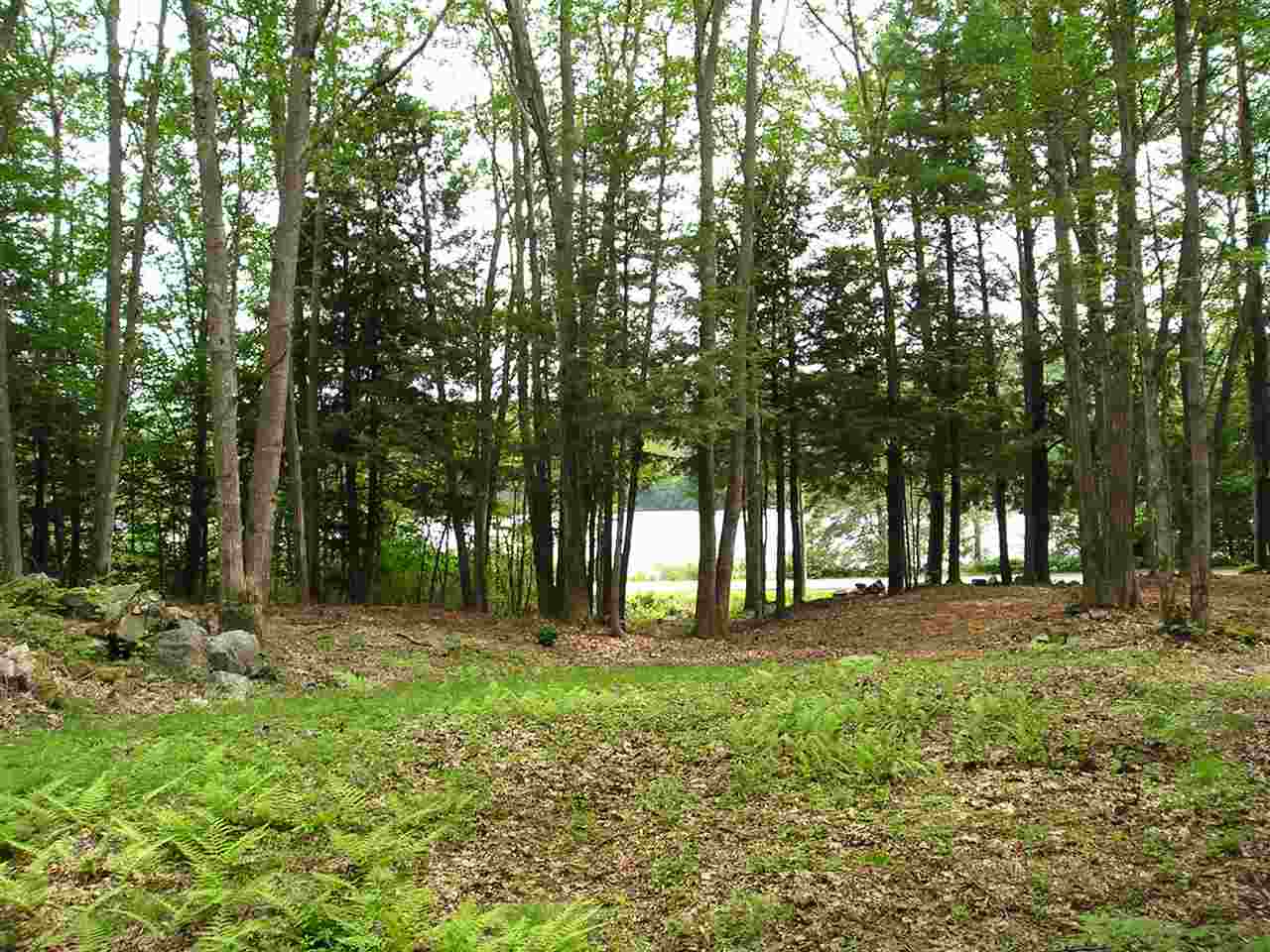 0 Hancock Road Harrisville, NH 03450 - Photo 1 of 12