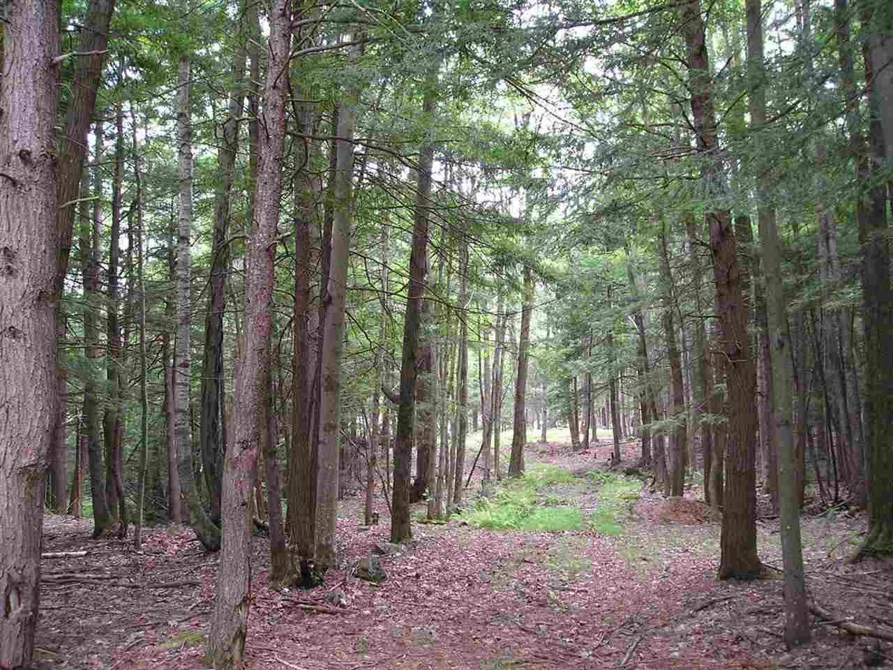 0 Hancock Road Harrisville, NH 03450 - Photo 3 of 12