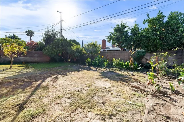 a view of a backyard with plants and a large tree