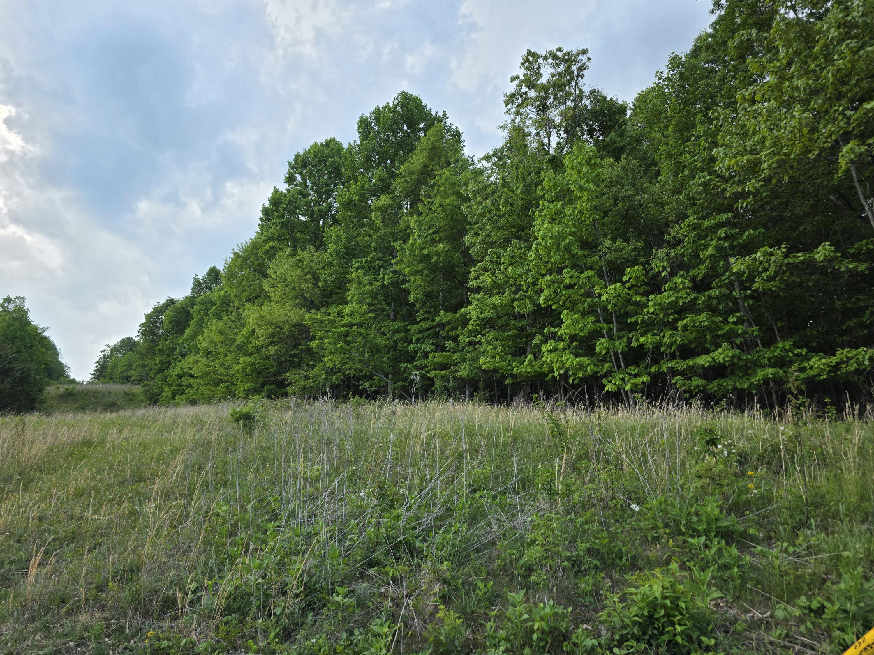 Tbd Bent Nail Road Hillsville, VA 24343 - Photo 2 of 16 a view of a lake view with a garden
