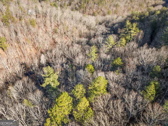 a backyard of a house with a yard and garden