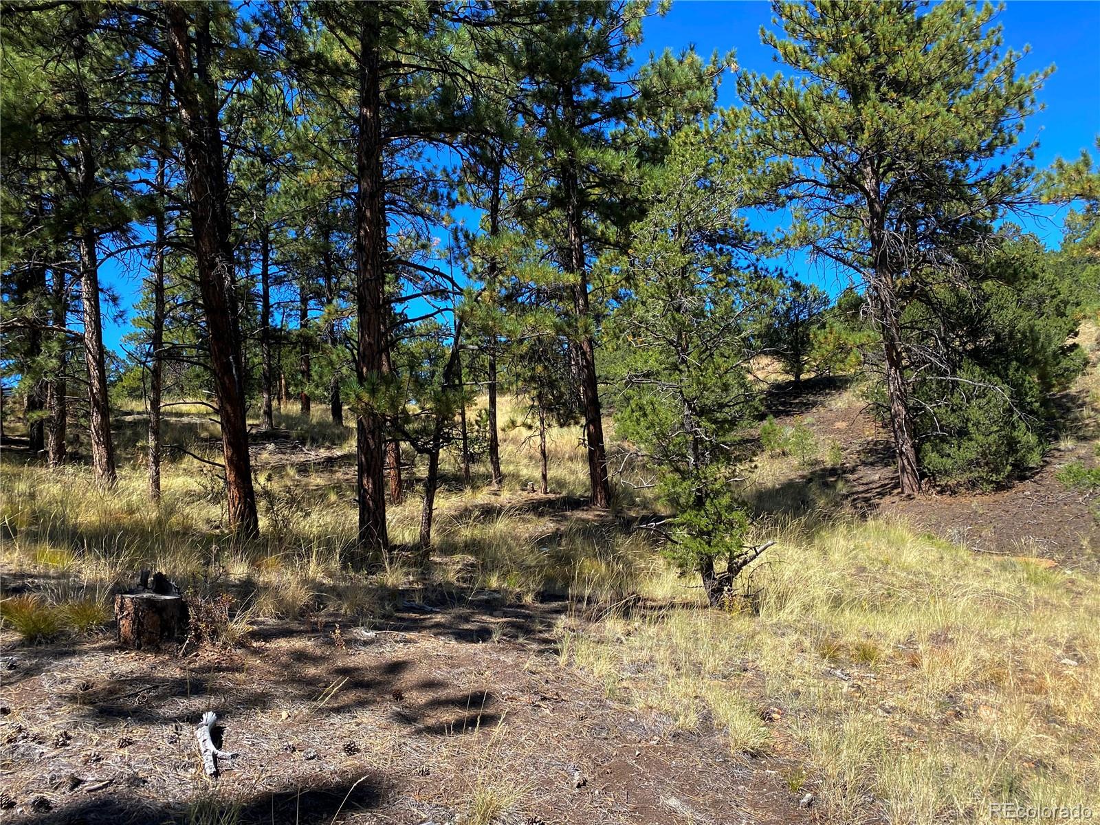Manden Road Westcliffe, CO 81252 - Photo 12 of 35