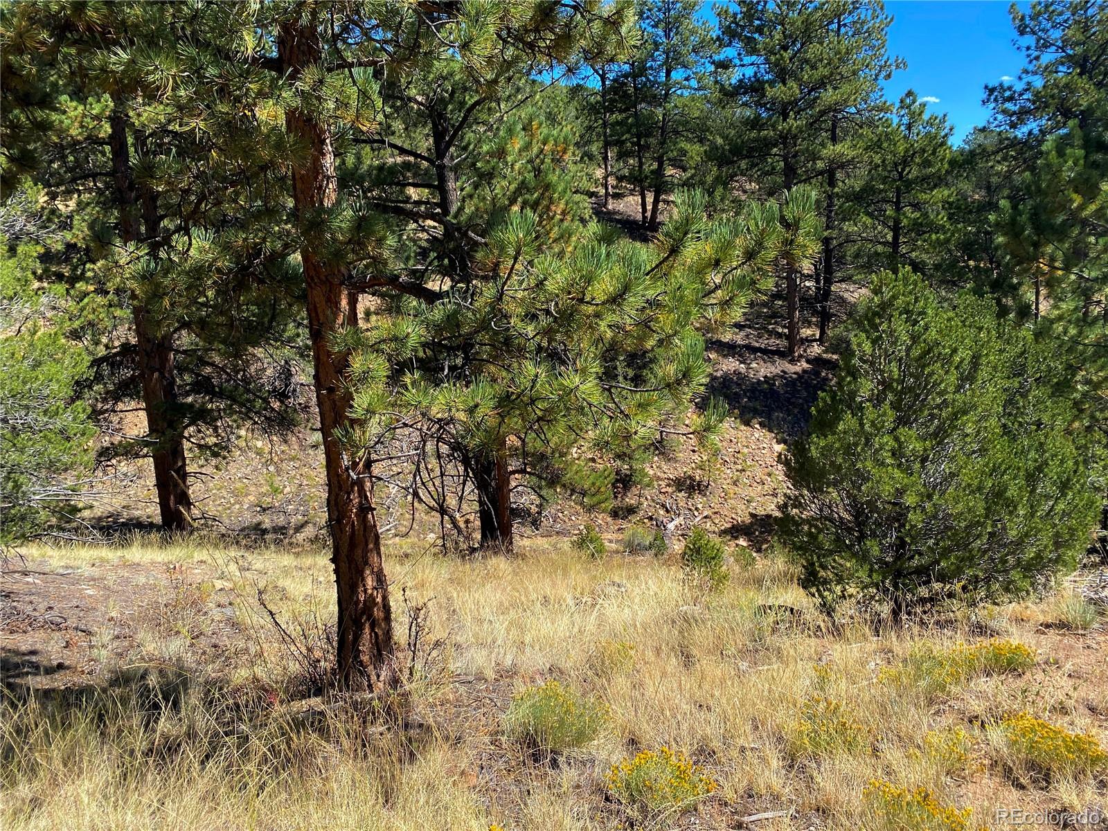 Manden Road Westcliffe, CO 81252 - Photo 13 of 35