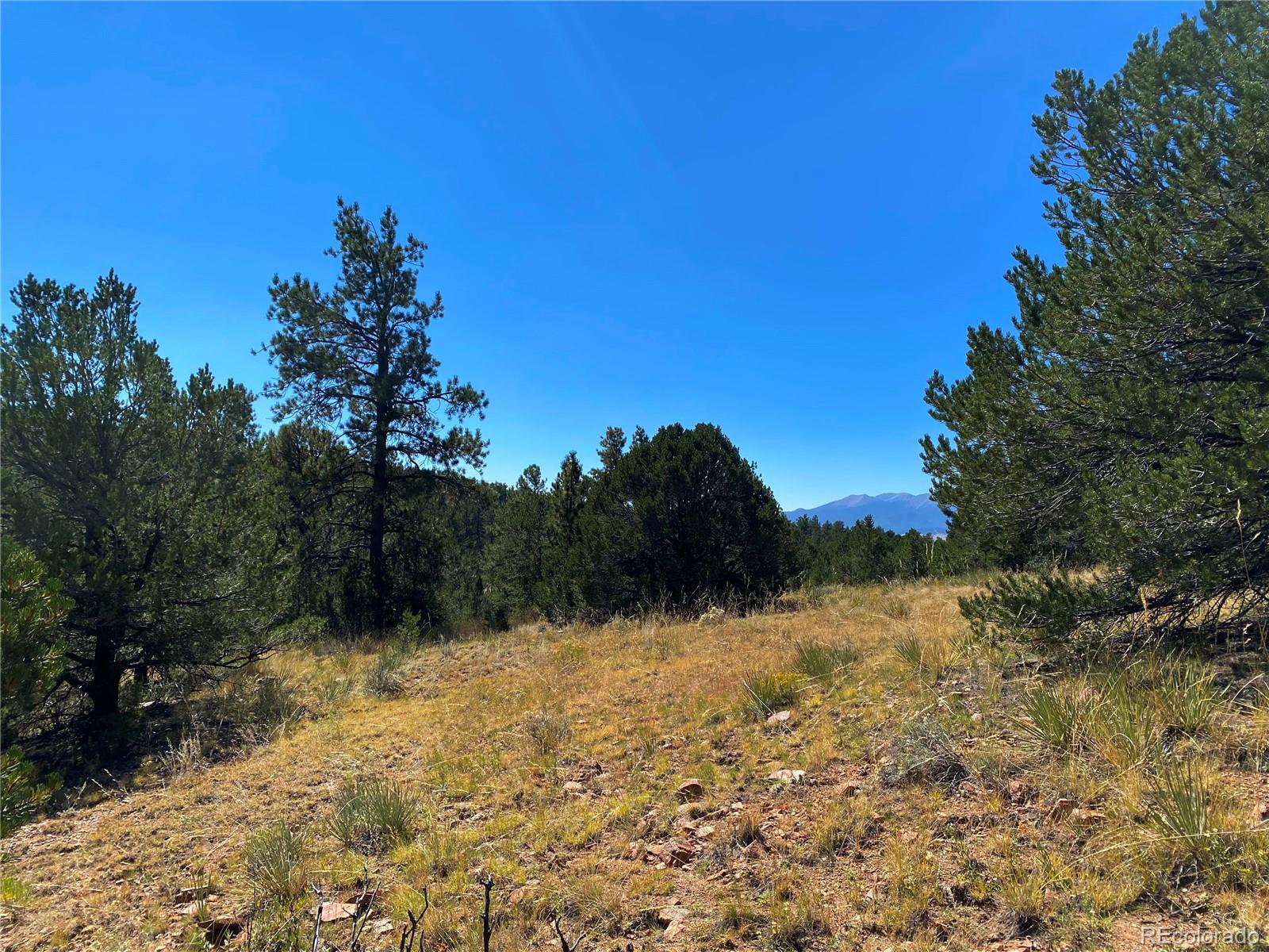 Manden Road Westcliffe, CO 81252 - Photo 15 of 35