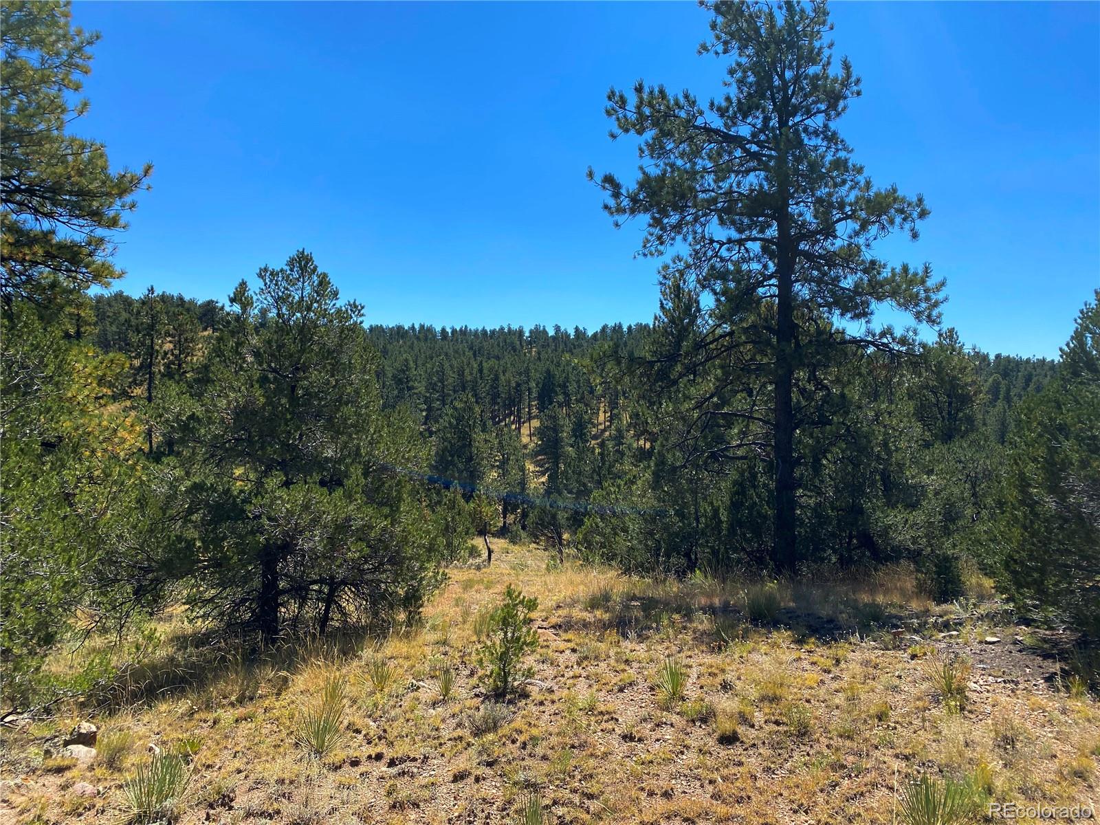 Manden Road Westcliffe, CO 81252 - Photo 16 of 35