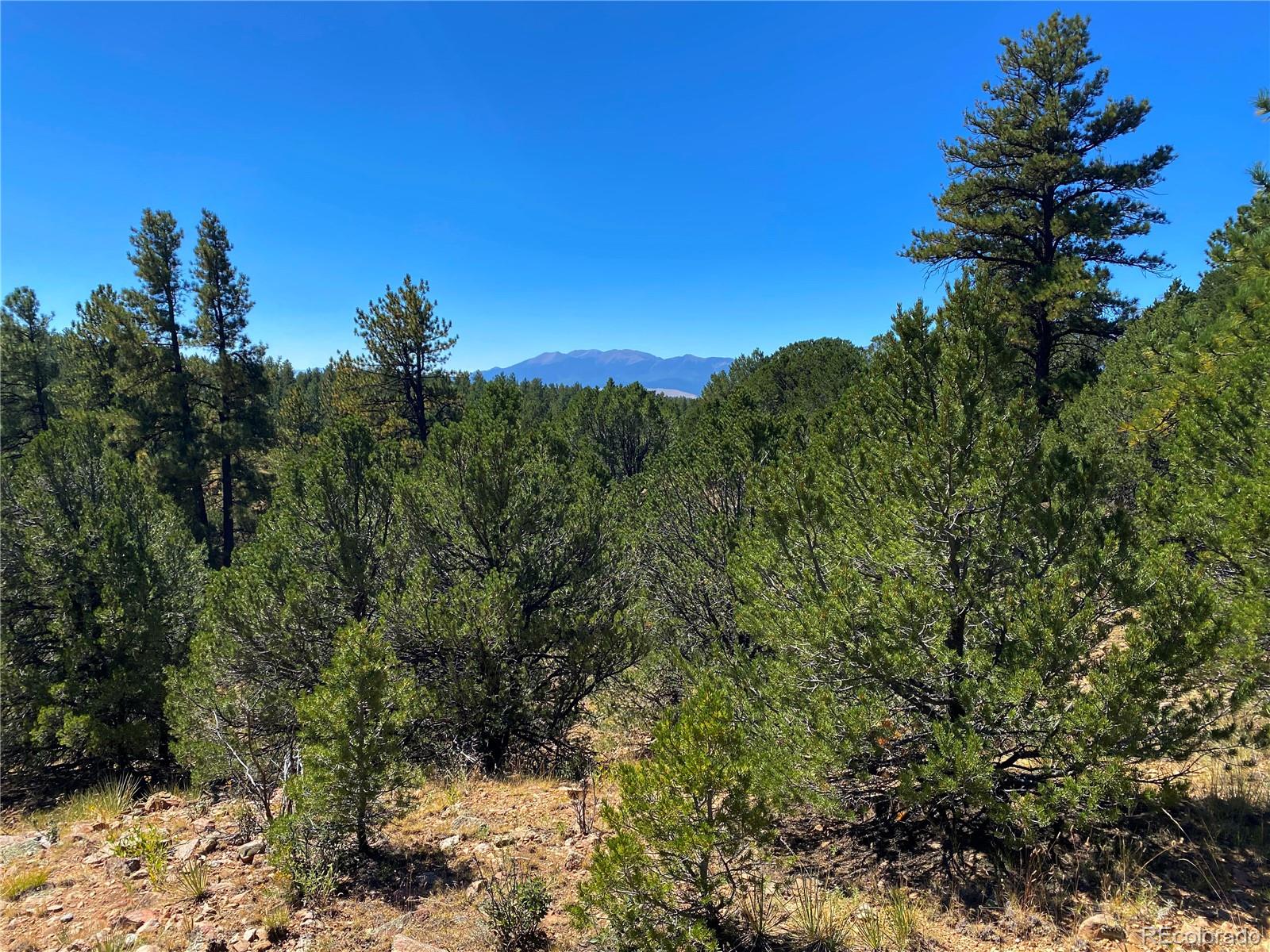 Manden Road Westcliffe, CO 81252 - Photo 19 of 35