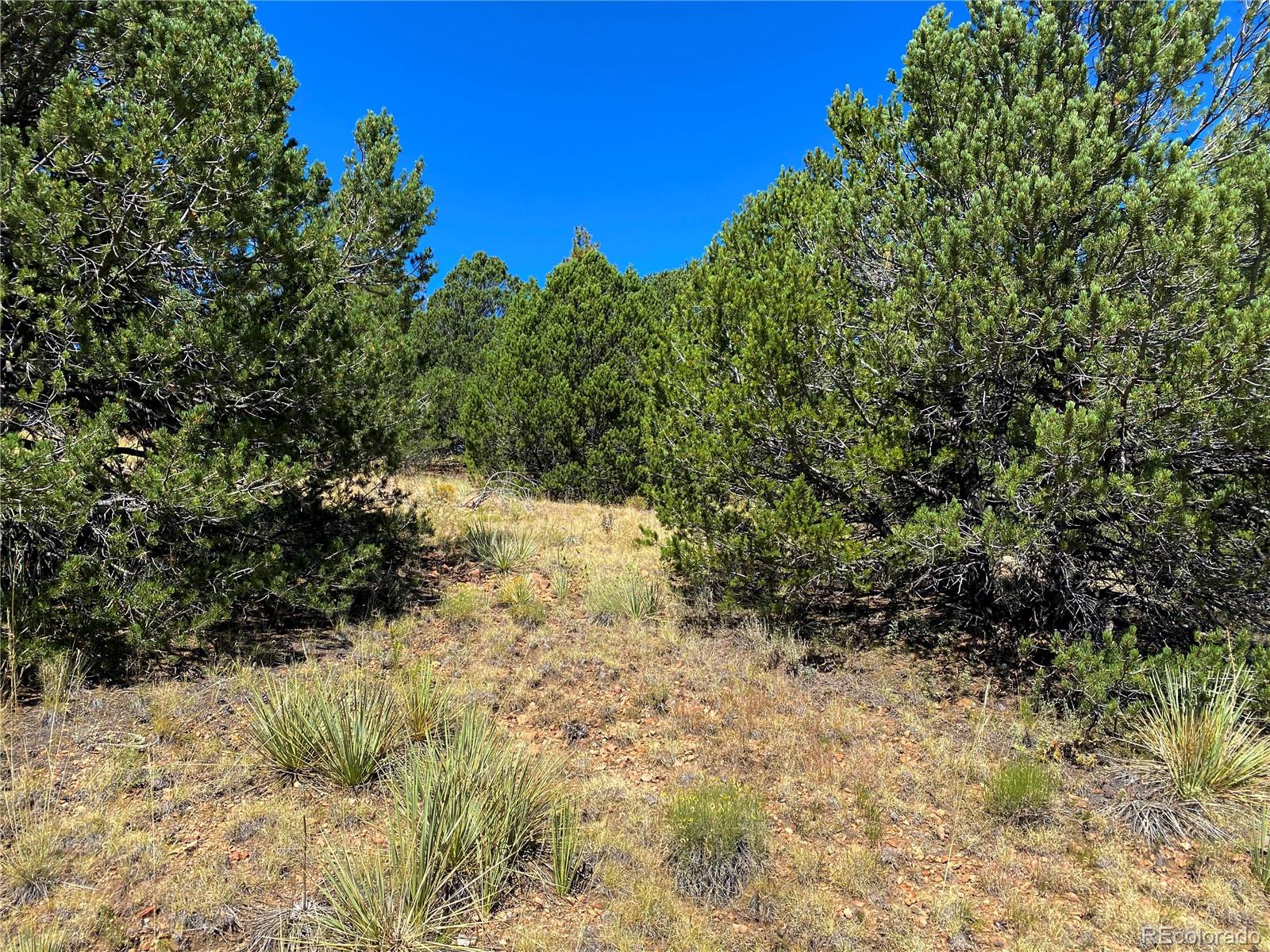 Manden Road Westcliffe, CO 81252 - Photo 2 of 35