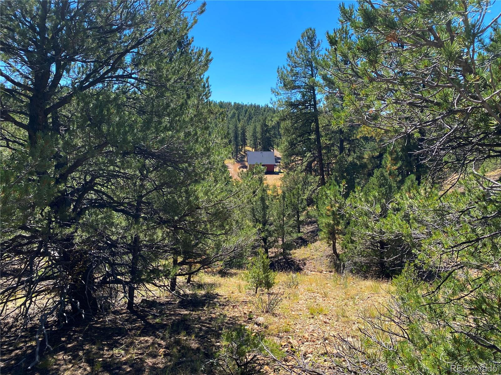 Manden Road Westcliffe, CO 81252 - Photo 22 of 35