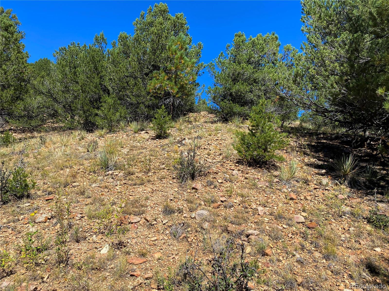 Manden Road Westcliffe, CO 81252 - Photo 23 of 35