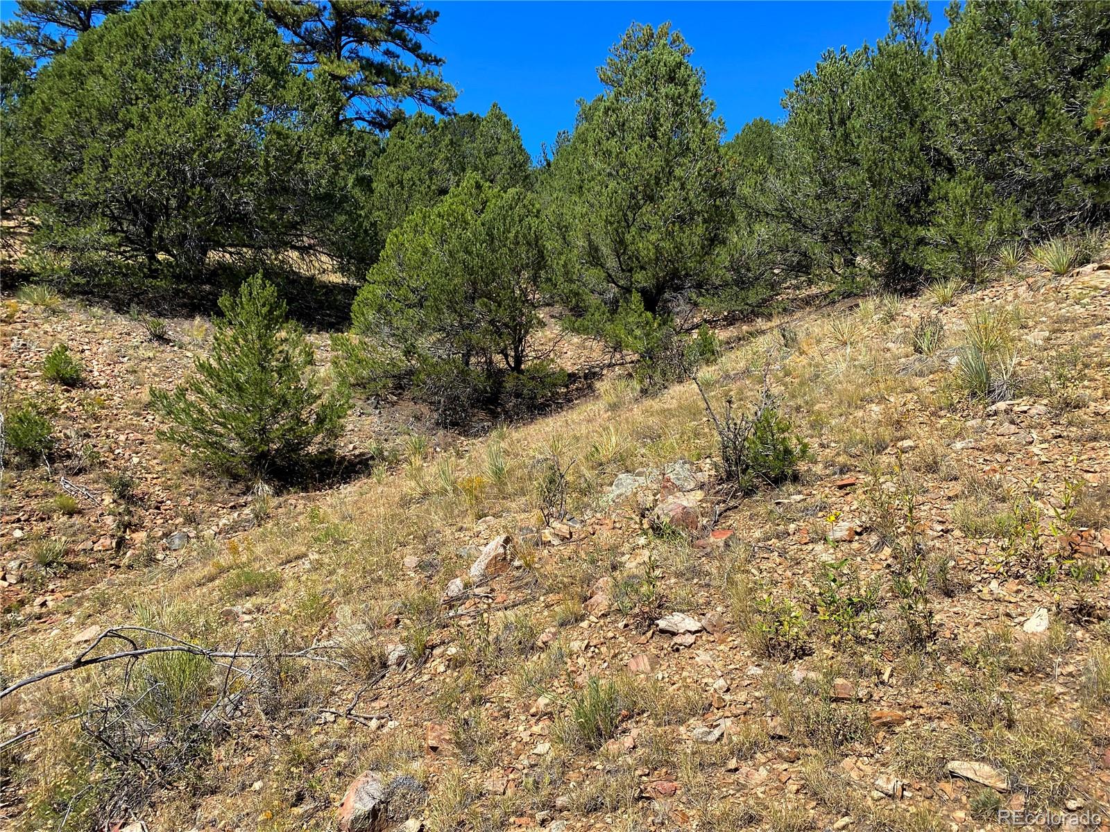Manden Road Westcliffe, CO 81252 - Photo 24 of 35