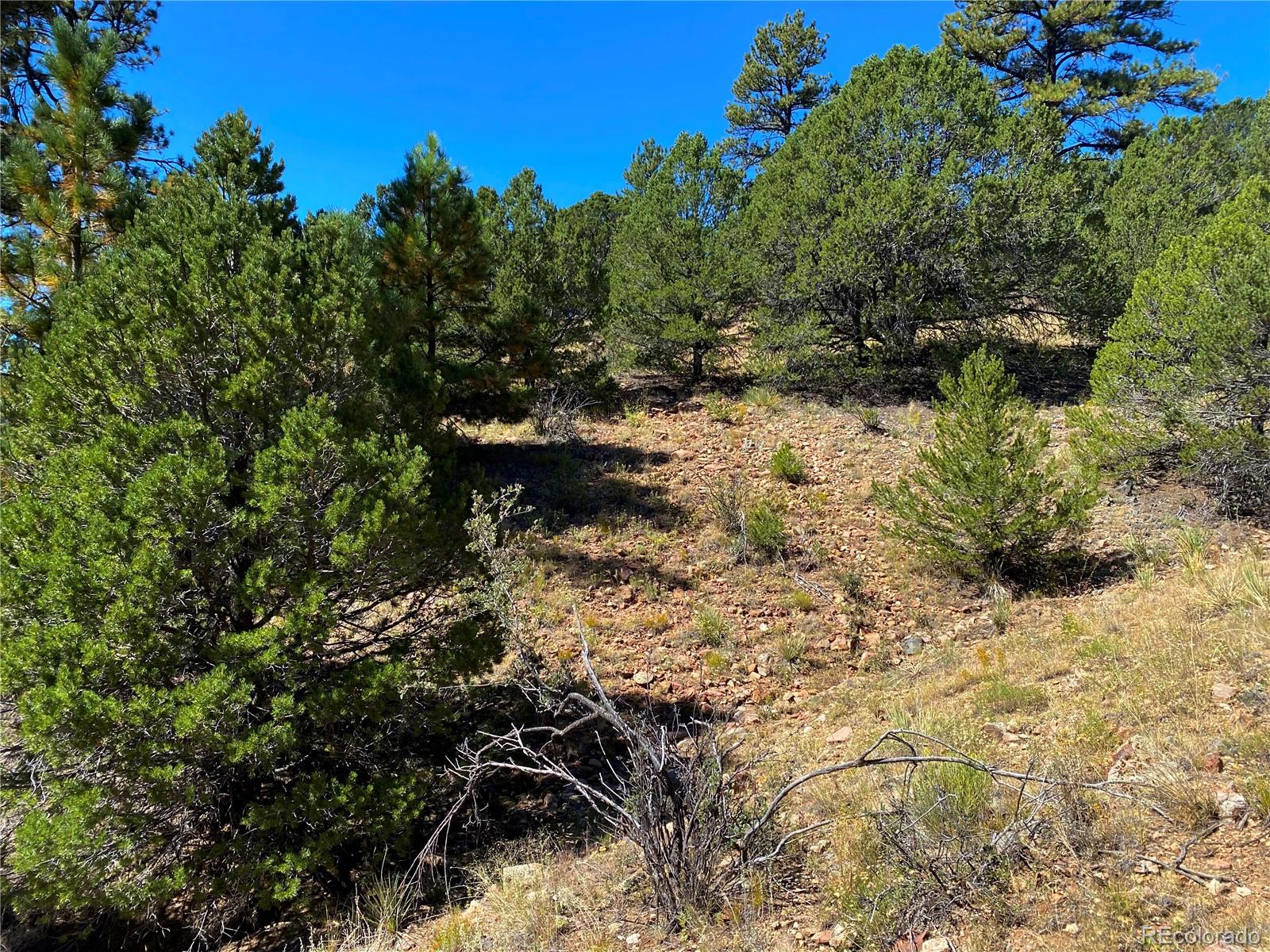 Manden Road Westcliffe, CO 81252 - Photo 25 of 35