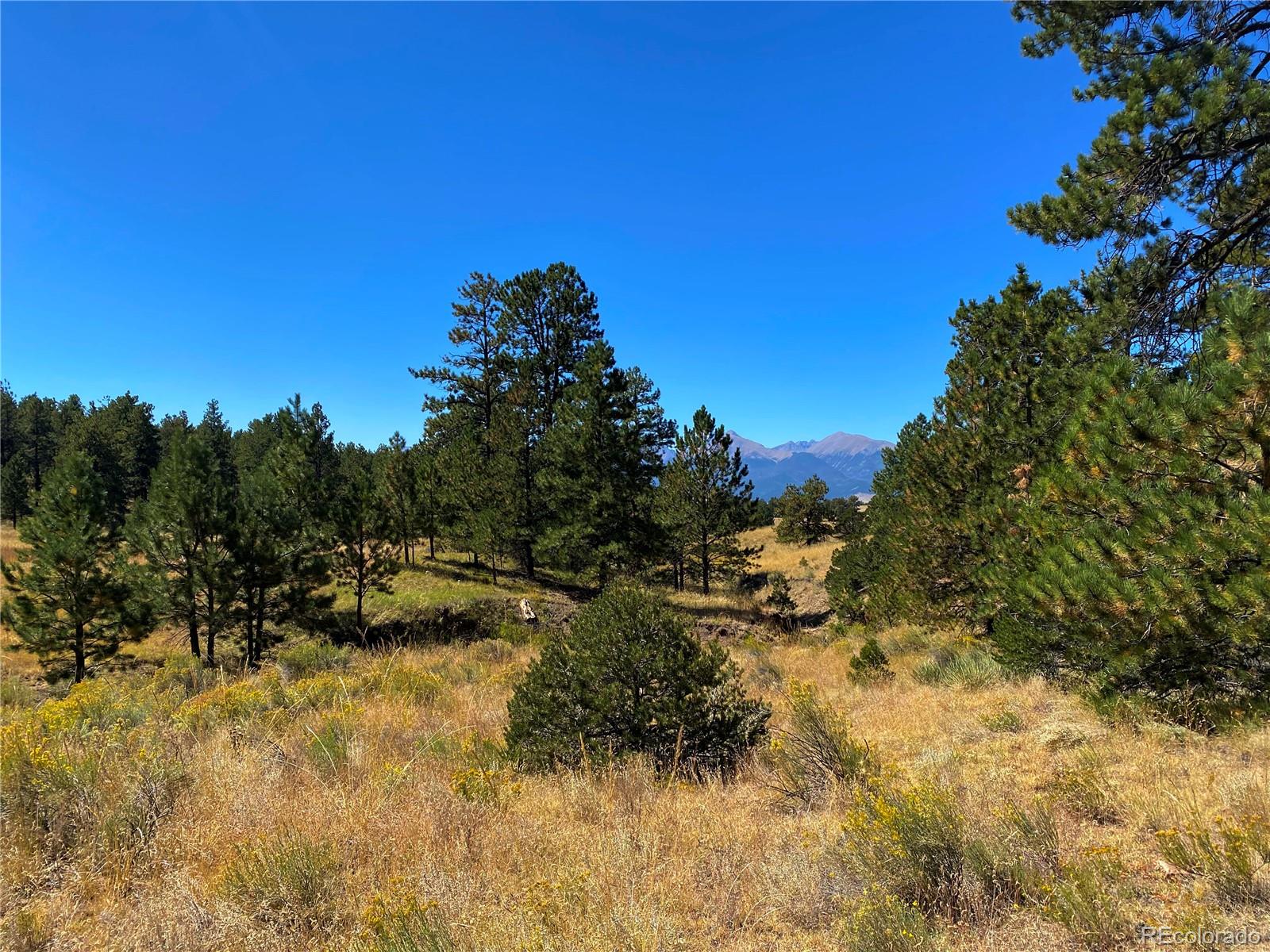 Manden Road Westcliffe, CO 81252 - Photo 28 of 35