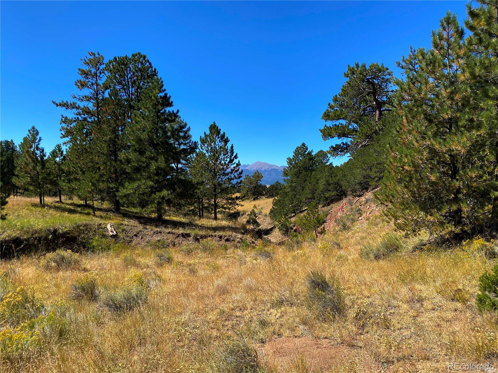 Manden Road Westcliffe, CO 81252 - Photo 30 of 35