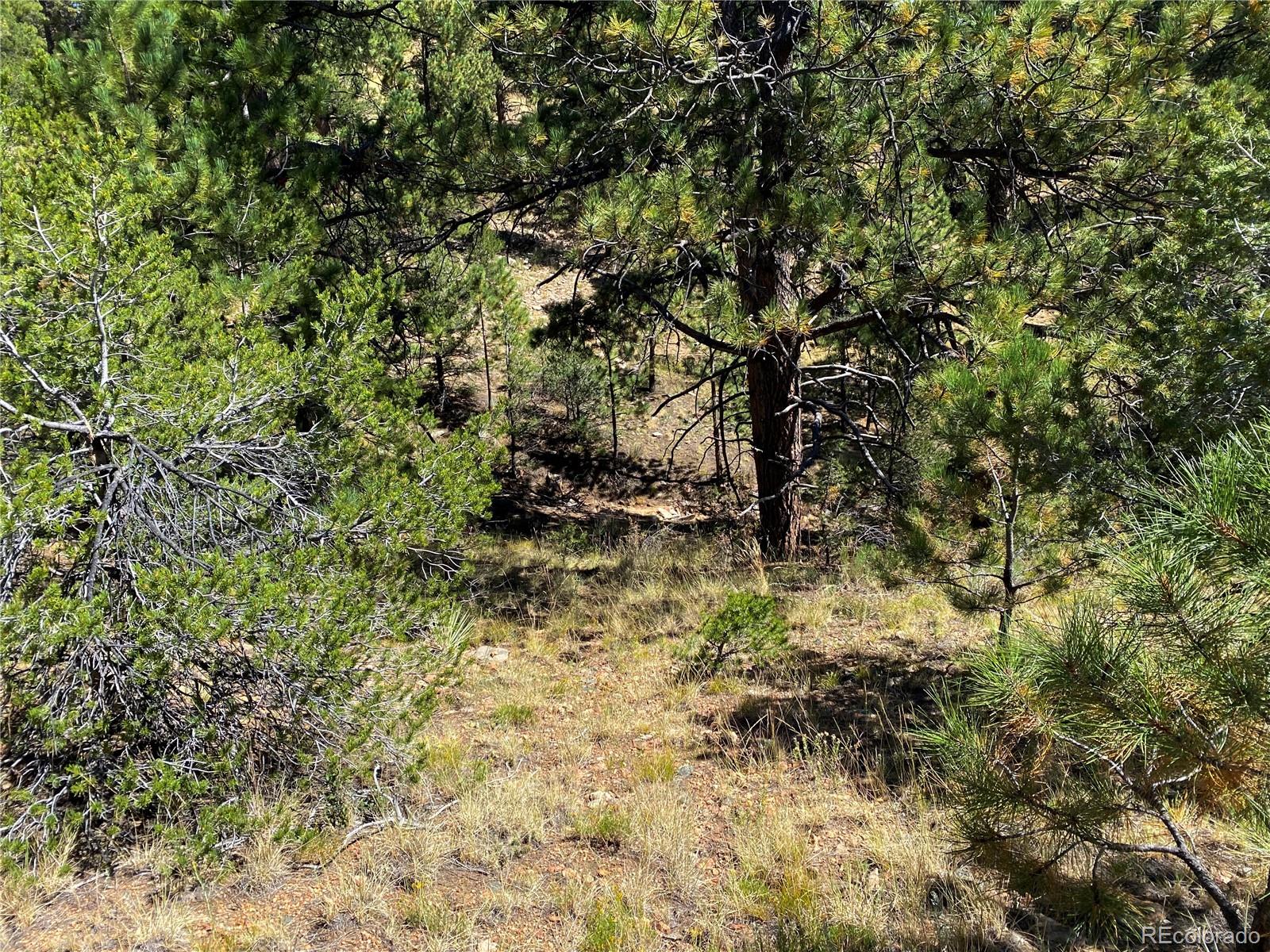 Manden Road Westcliffe, CO 81252 - Photo 3 of 35