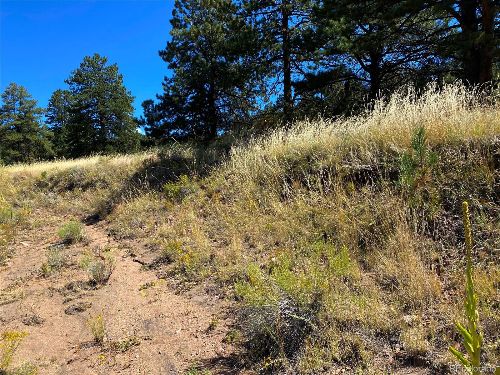 Manden Road Westcliffe, CO 81252 - Photo 35 of 35
