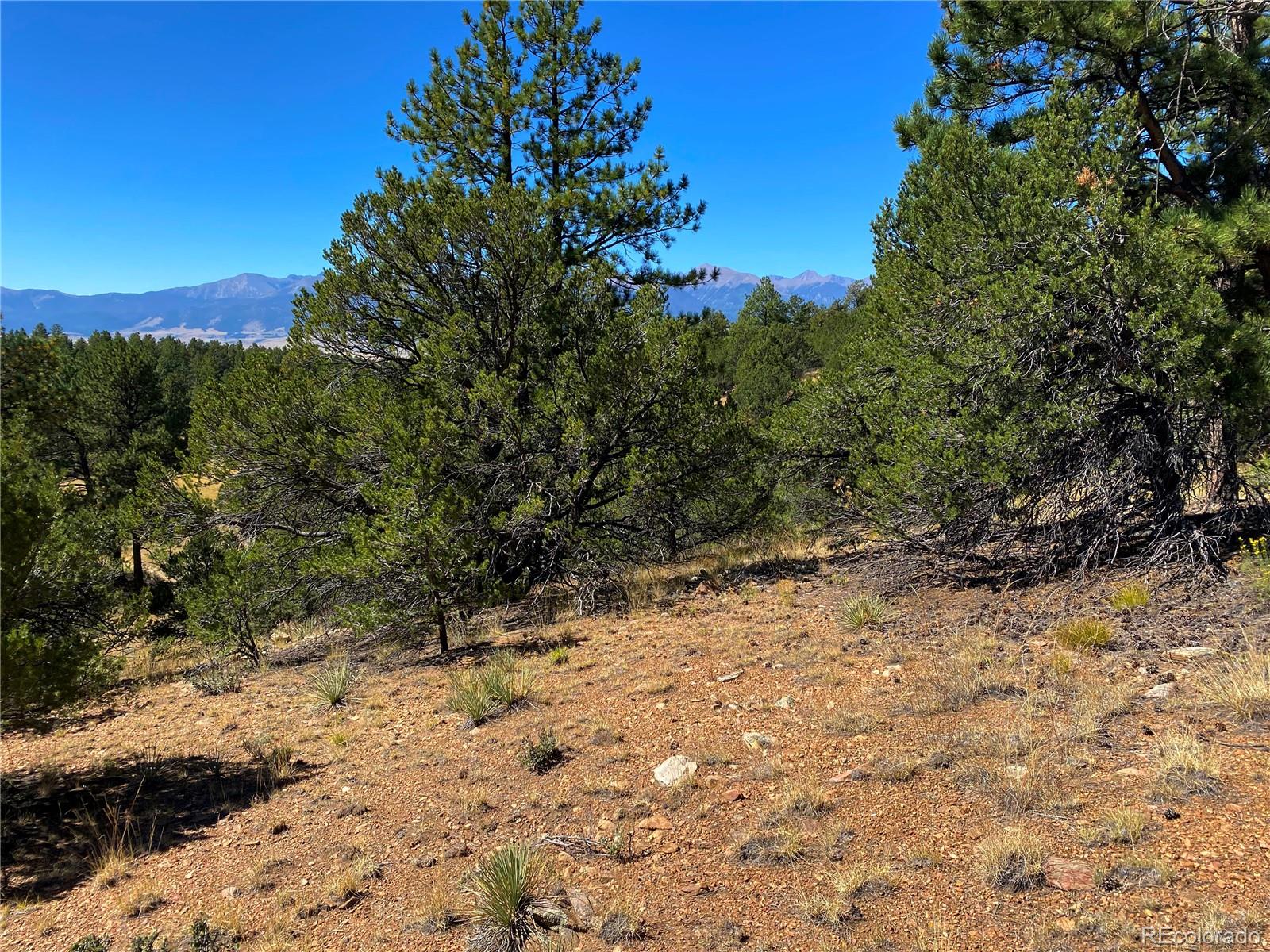 Manden Road Westcliffe, CO 81252 - Photo 7 of 35