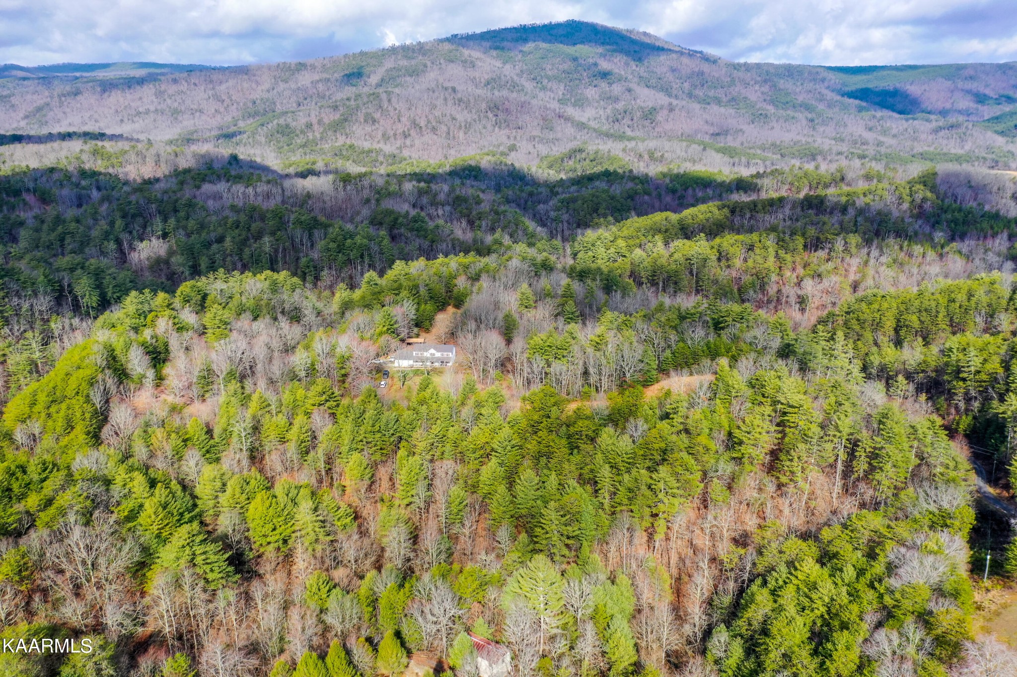 1620 Reliance Road Tellico Plains, TN 37385 - Photo 42 of 59