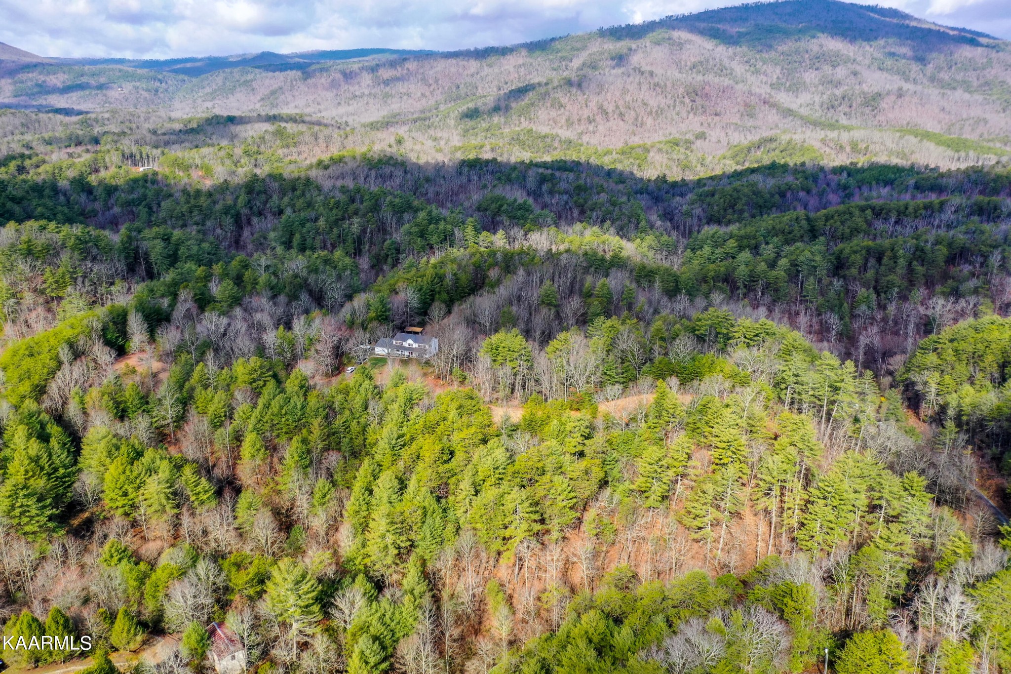 1620 Reliance Road Tellico Plains, TN 37385 - Photo 44 of 59 a view of a lake with a mountain in the background