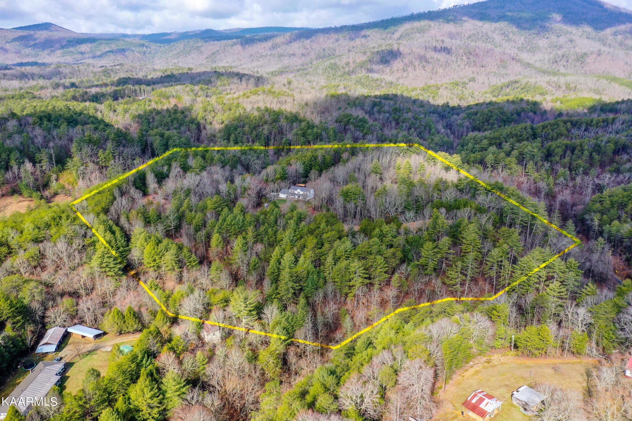 1620 Reliance Road Tellico Plains, TN 37385 - Photo 46 of 59 a view of a lake with a mountain