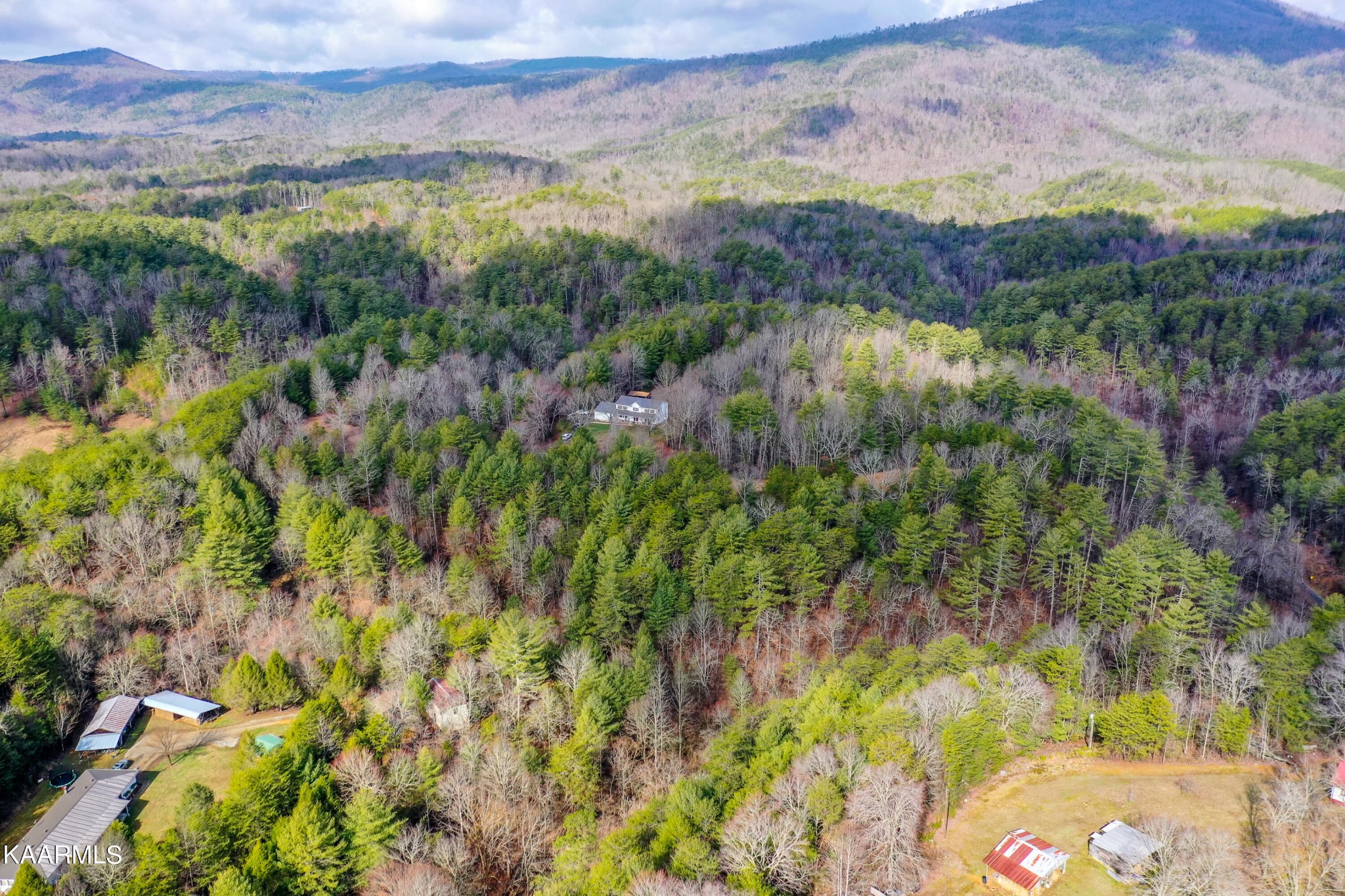1620 Reliance Road Tellico Plains, TN 37385 - Photo 47 of 59 a view of a lake with a mountain in the background