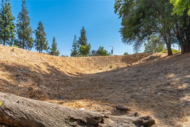 a view of a yard with trees