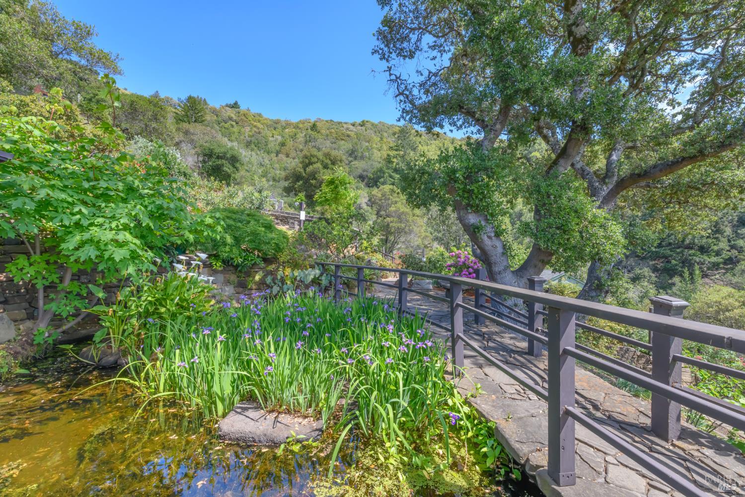 75 Lee Street Mill Valley, CA 94941 - Photo 42 of 75