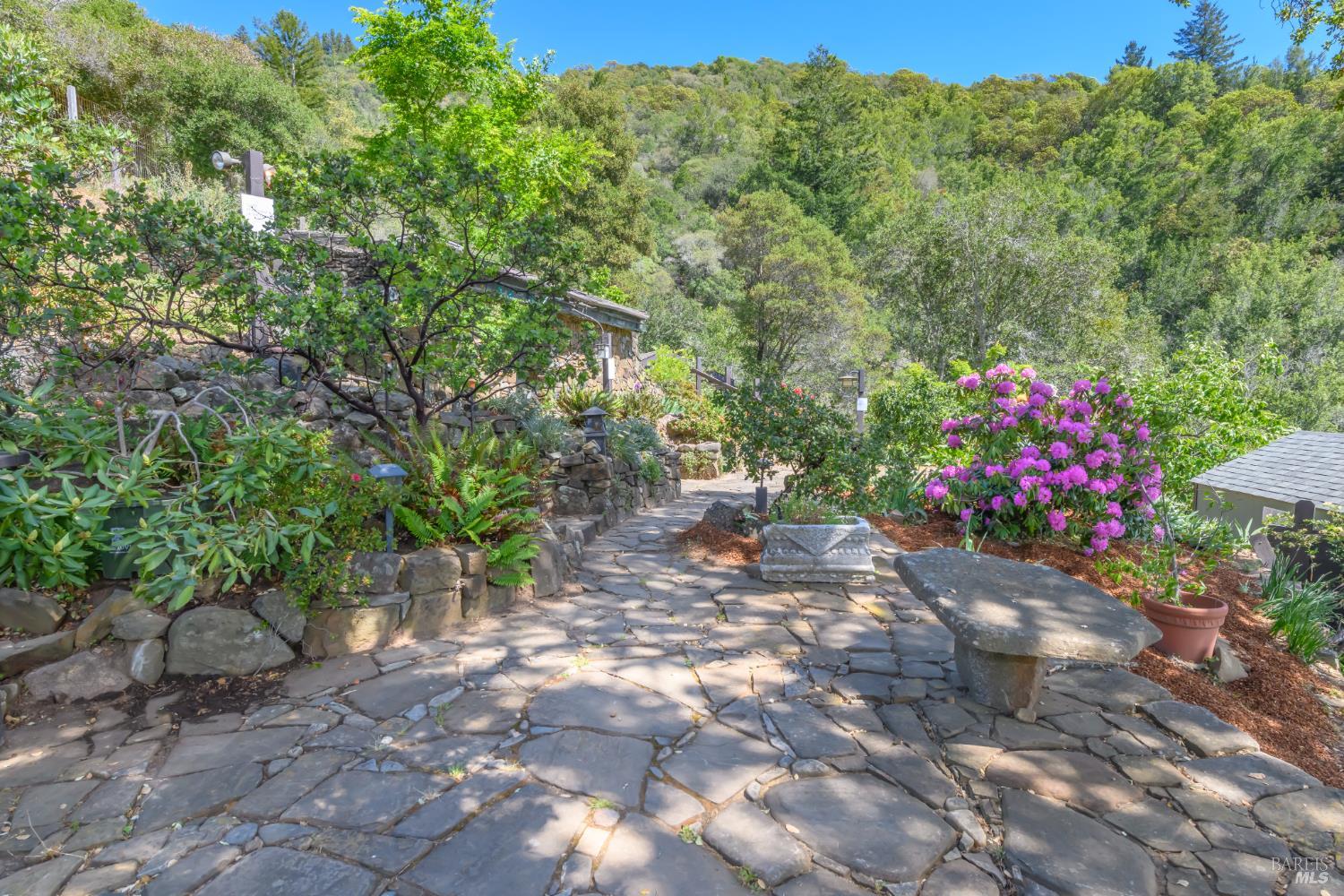 75 Lee Street Mill Valley, CA 94941 - Photo 48 of 75