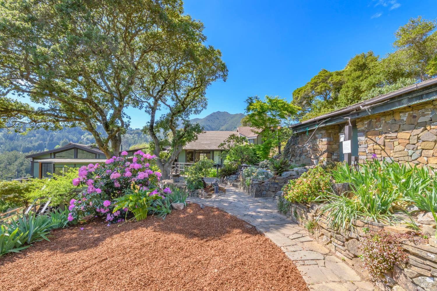 75 Lee Street Mill Valley, CA 94941 - Photo 53 of 75