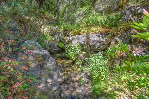 $2,750,000 | 75 Lee Street, Mill Valley, CA 94941