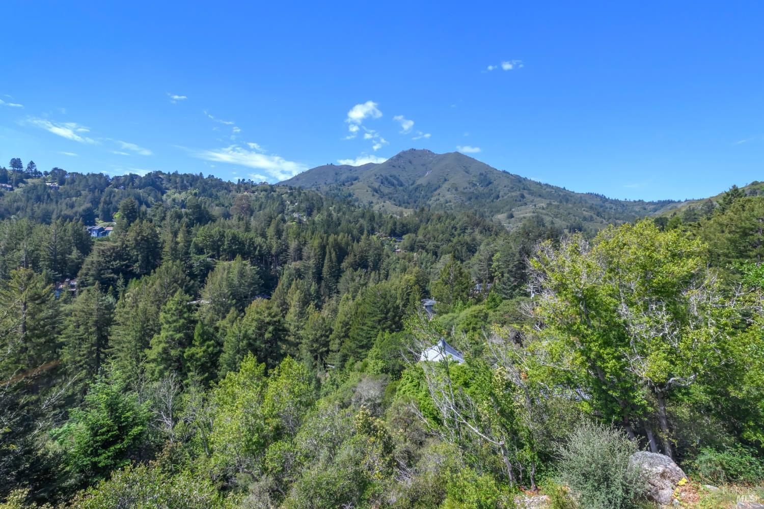 75 Lee Street Mill Valley, CA 94941 - Photo 6 of 75