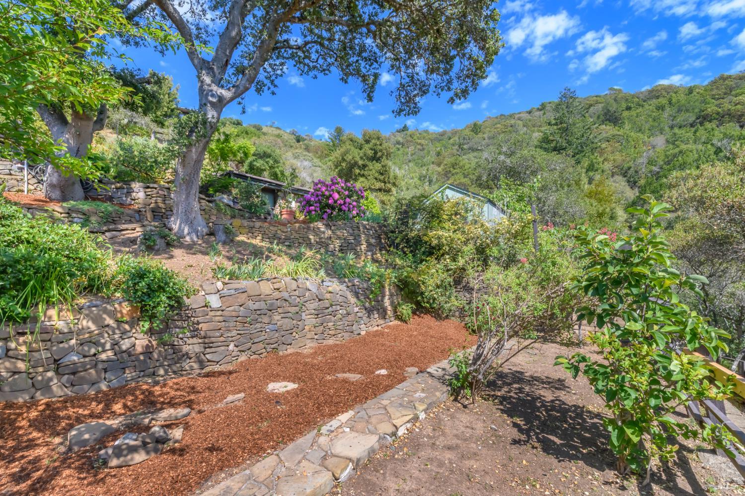 75 Lee Street Mill Valley, CA 94941 - Photo 67 of 75