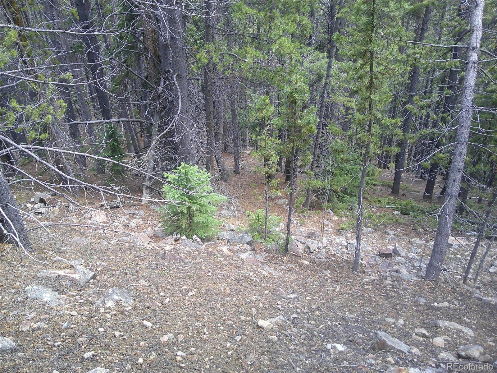 Lot #441 Hillside Road Idaho Springs, CO 80452 - Photo 3 of 5 a backyard of a house with lots of green space