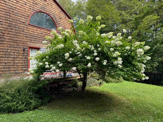 $369,000 | 1501 Sheldon Hill Road, Wardsboro, VT 05355