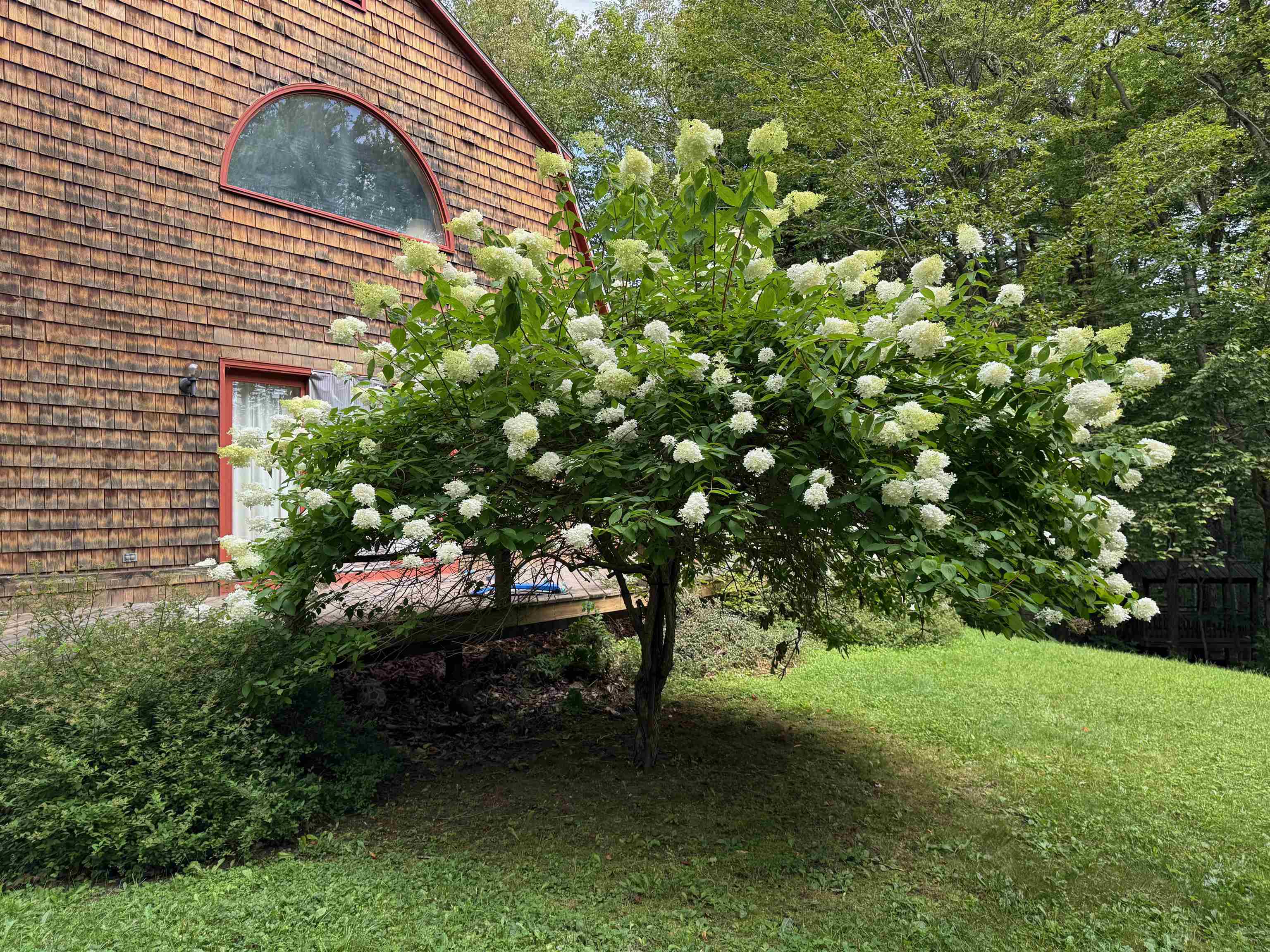 1501 Sheldon Hill Road Wardsboro, VT 05355 - Photo 6 of 38 Gallery Image 6