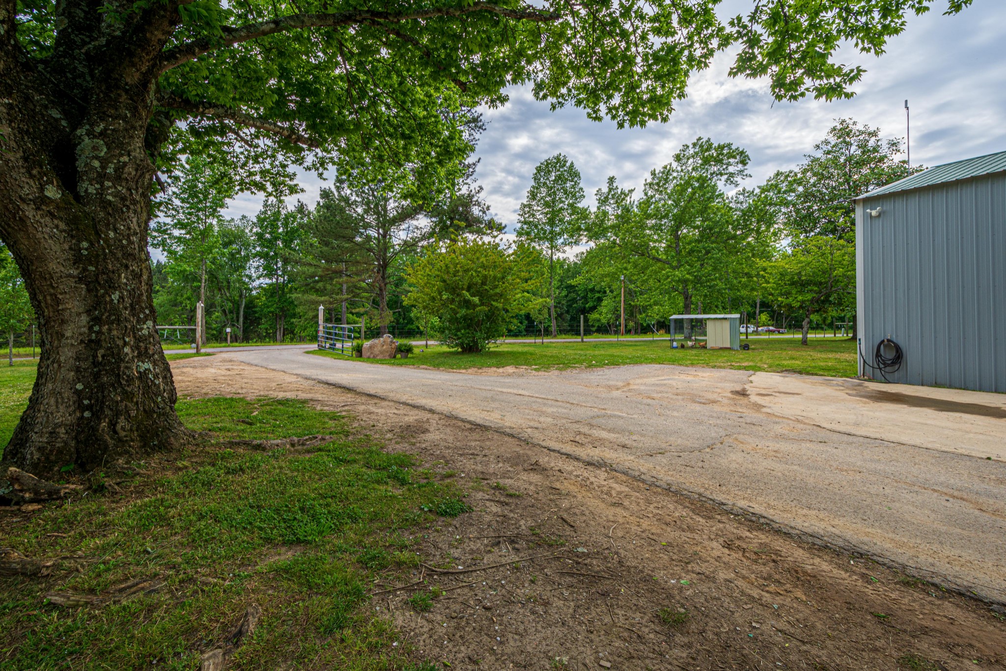 2819 Nancy Green Ridge Road Pulaski, TN 38478 - Photo 44 of 50