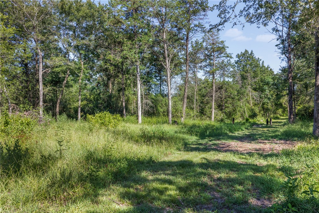 16135 Wilson Pasture Road Bryan, TX 77808 - Photo 15 of 29