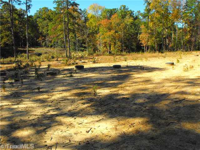 445 Floyd Shoaf Road Lexington, NC 27292 - Photo 3 of 4 Land.