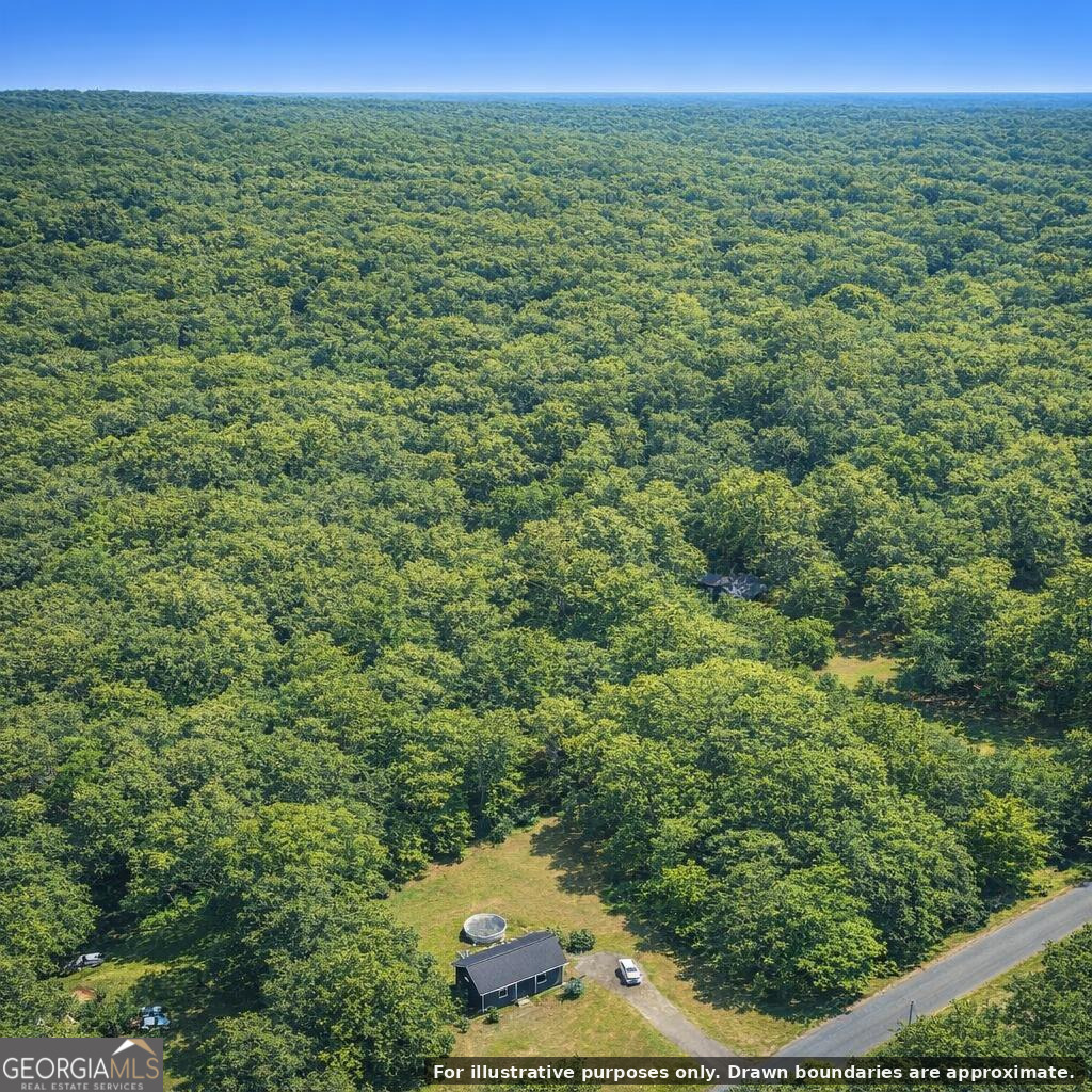 0 Harry Arnold Road Monroe, GA 30655 - Photo 2 of 13 a view of a forest from a yard