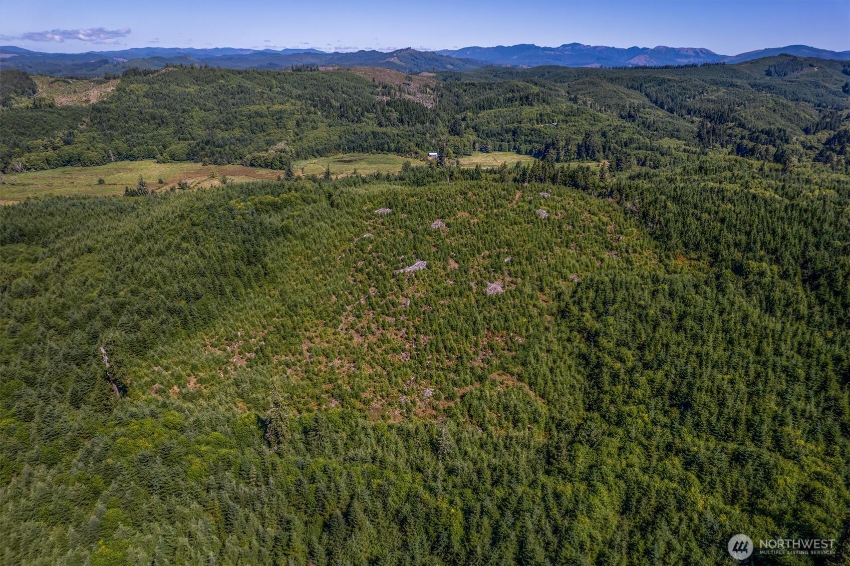 0 Eden Valley Road Rosburg, WA 98643 - Photo 11 of 14