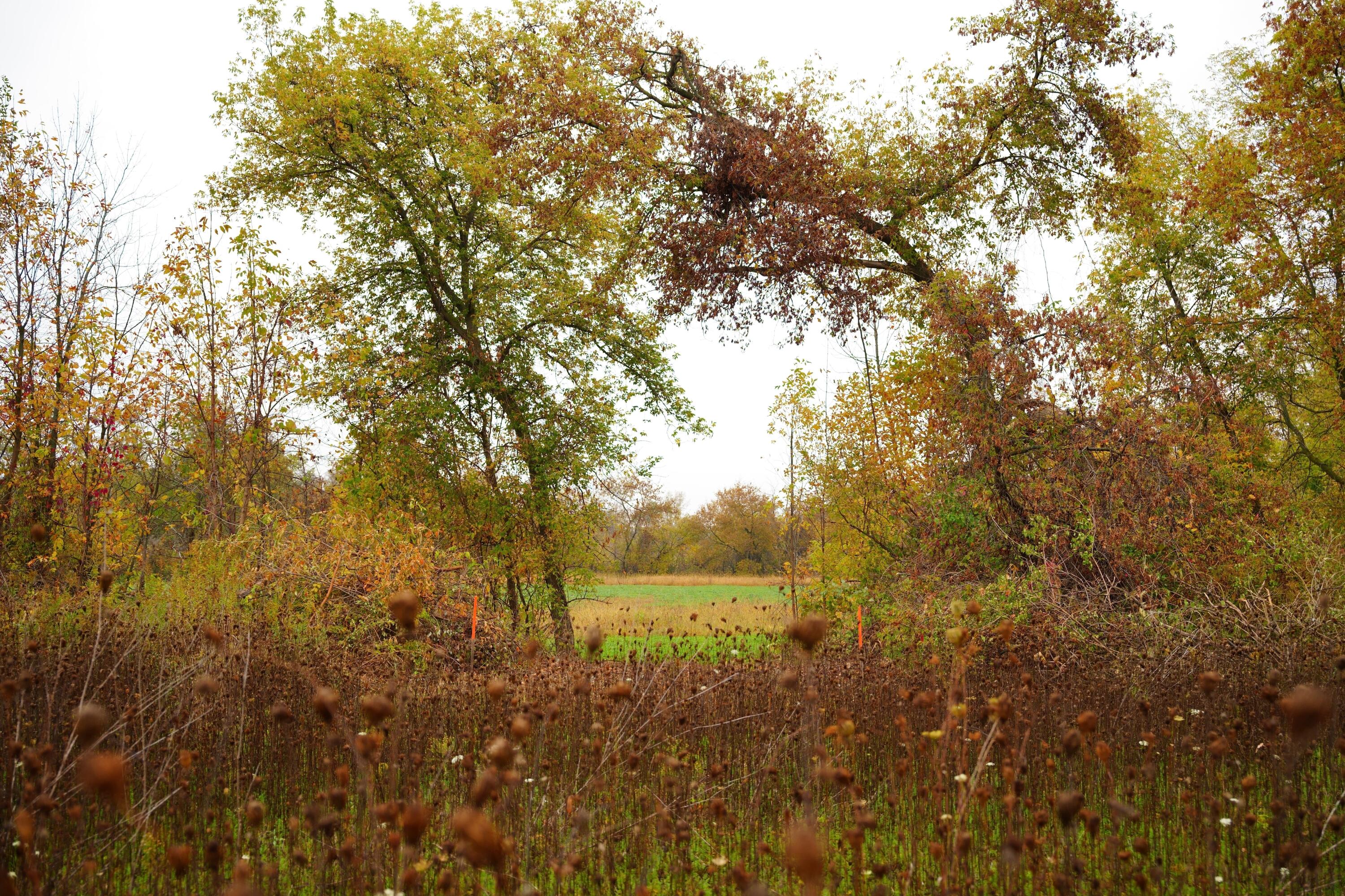 Lt2 Lt2 County Road Waldo, WI 53093 - Photo 11 of 18 DSC00275