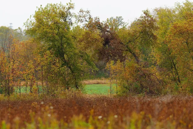 $299,900 | Lt2 Lt2 County Road, Waldo, WI 53093