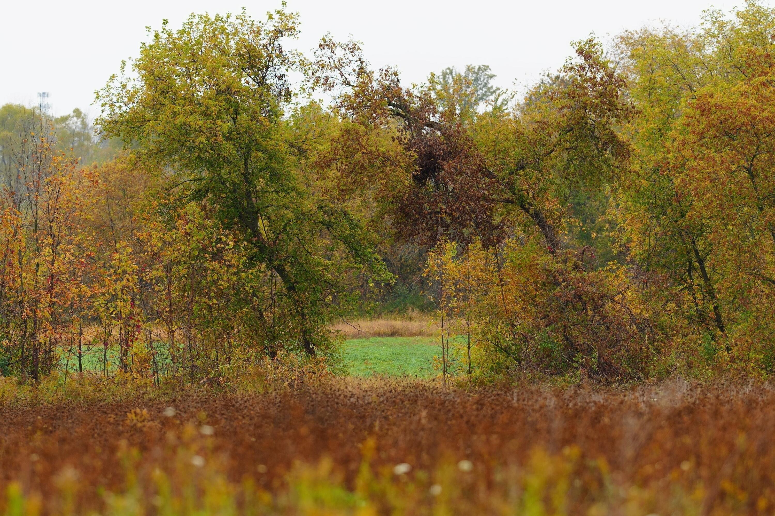 Lt2 Lt2 County Road Waldo, WI 53093 - Photo 14 of 18 DSC00245