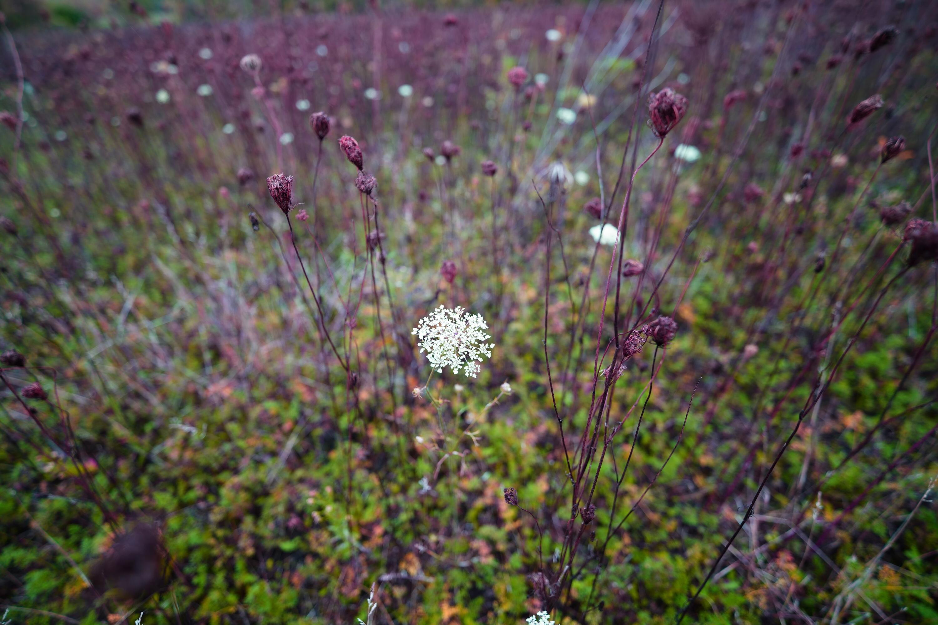 Lt2 Lt2 County Road Waldo, WI 53093 - Photo 15 of 18 DSC00236