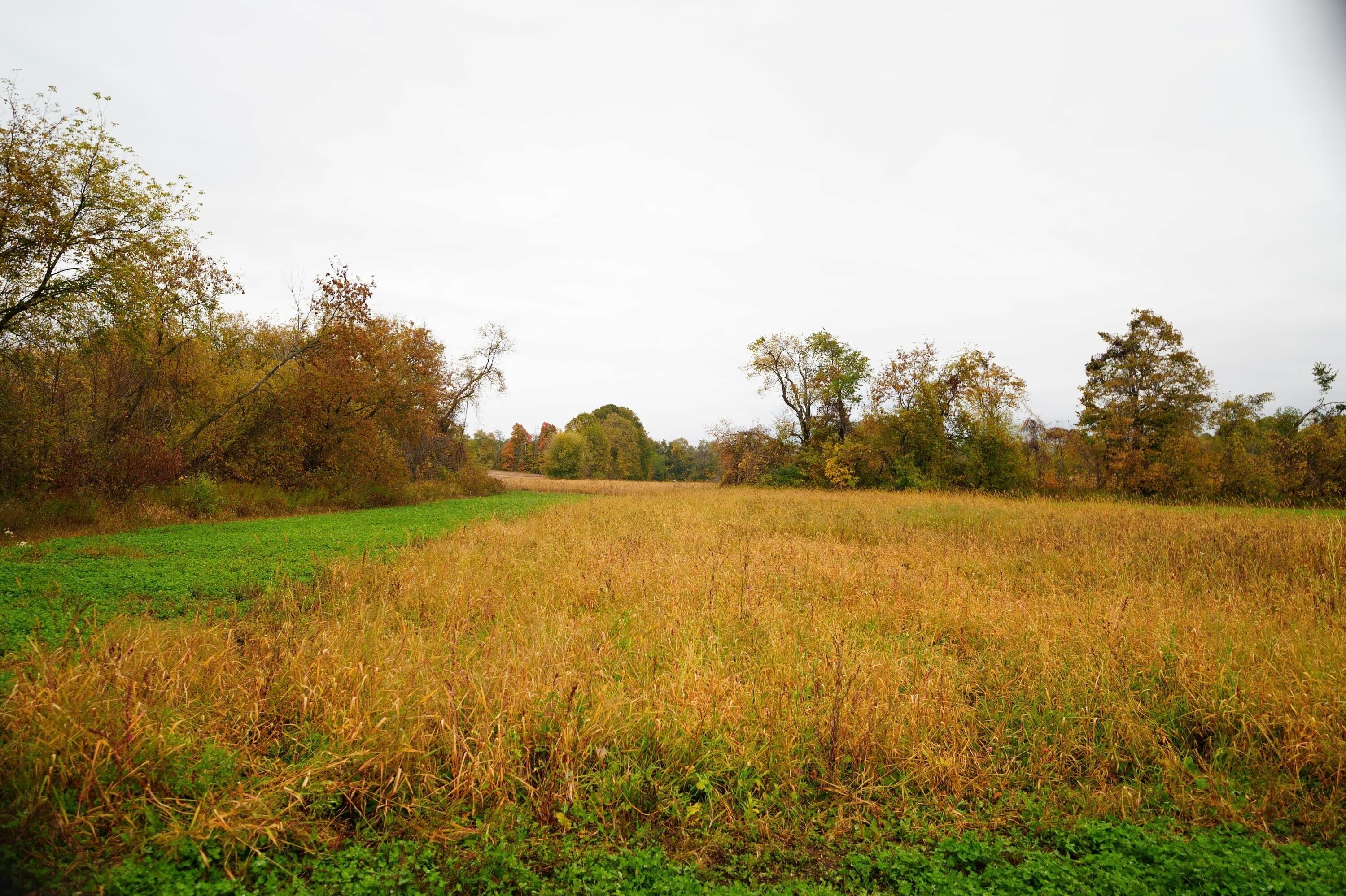 Lt2 Lt2 County Road Waldo, WI 53093 - Photo 8 of 18 DSC00300