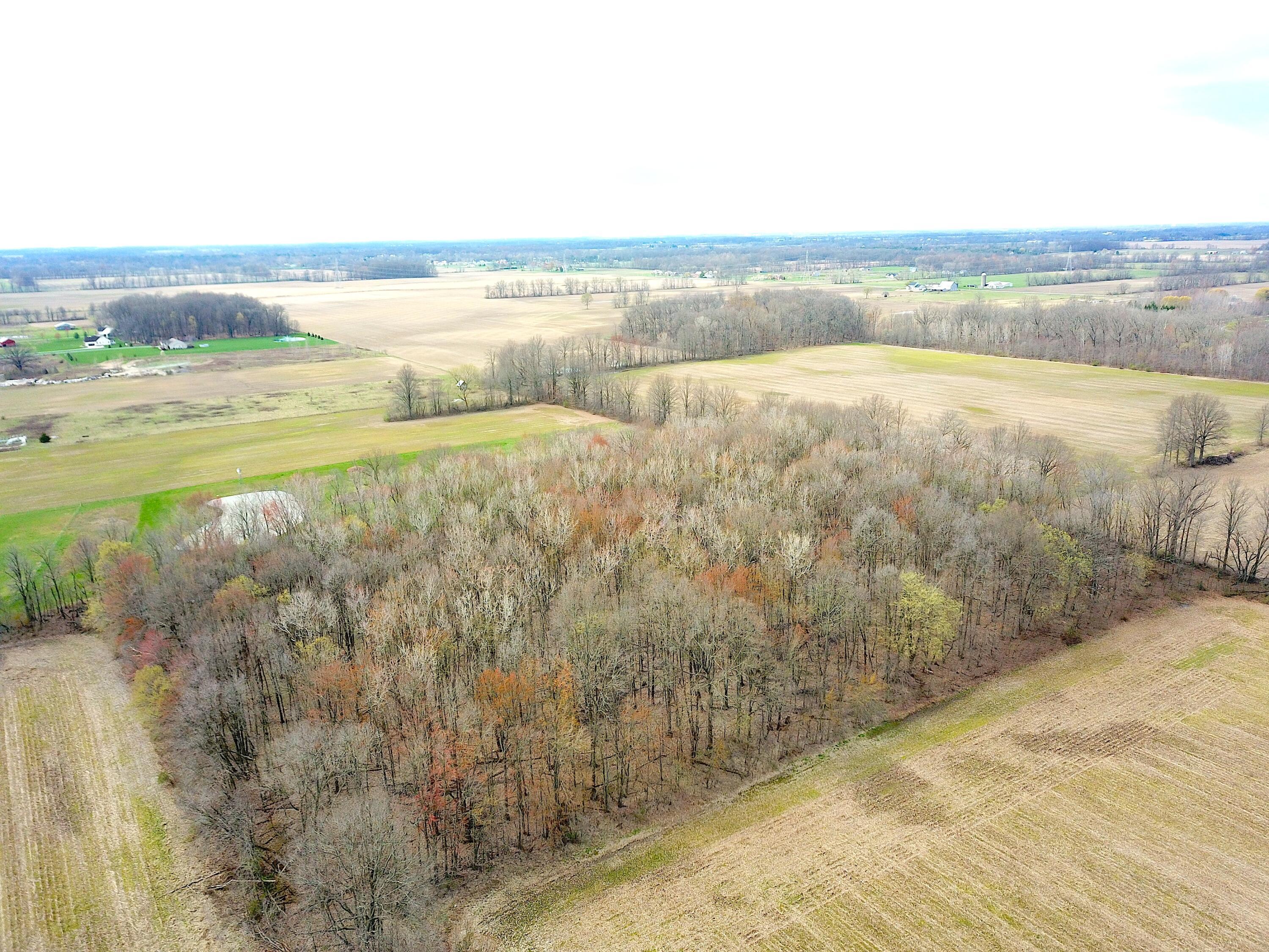 0 Carr Road Ostrander, OH 43061 - Photo 18 of 24 DJI_0989